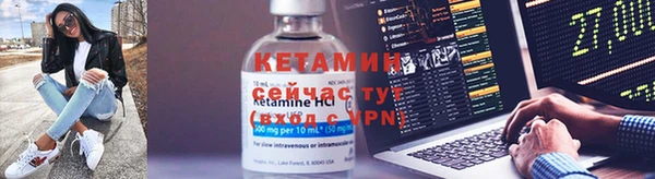 СК Алексин