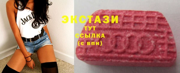 СК Алексин