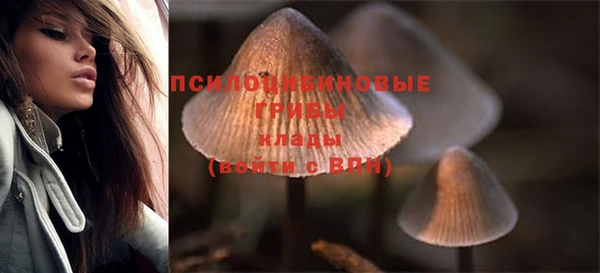 скорость Алзамай