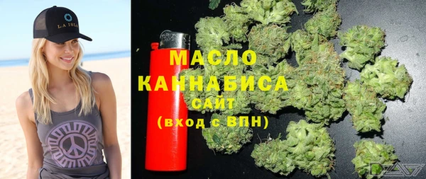 СК Алексин