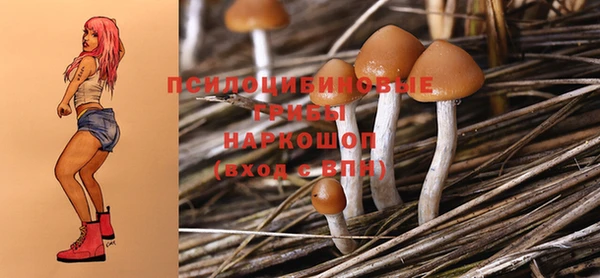 твердый Алексеевка
