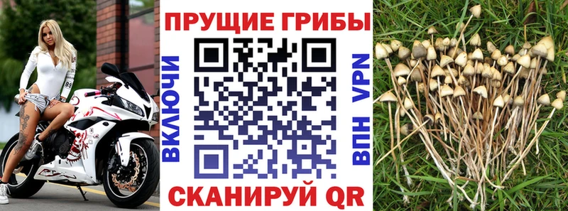 mega как войти  Аркадак  Галлюциногенные грибы ЛСД 