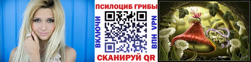 Псилоцибиновые грибы MAGIC MUSHROOMS Аркадак